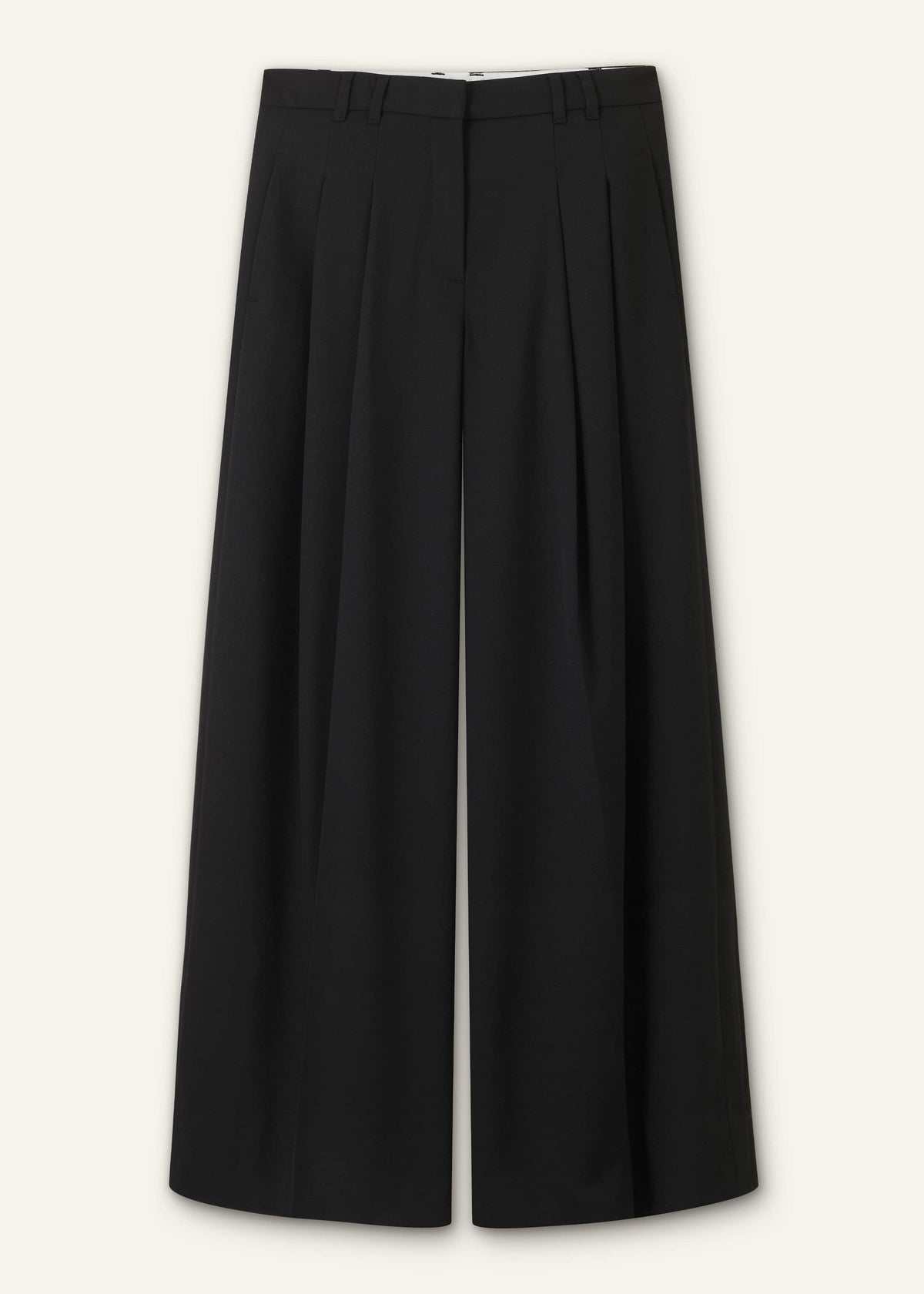 Black Wide-Leg Pleat Pant | ME+EM Clothing