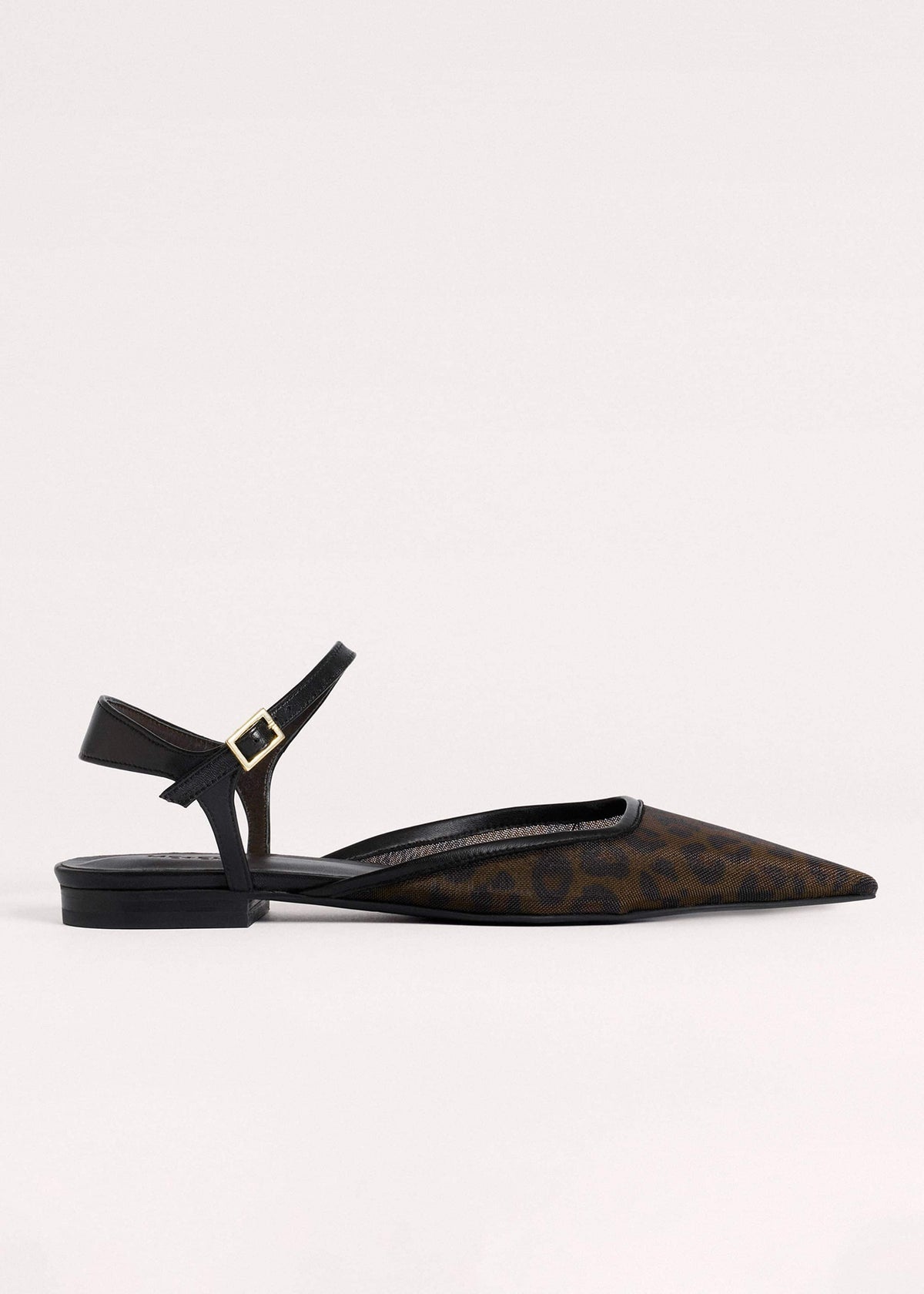 Brown Leopard Print Mesh Point-Toe Flat | ME+EM Clothing|Accessories